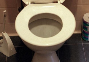 Toilet Bowl