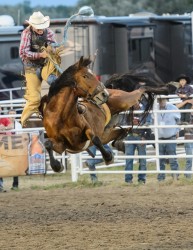 Preston Kafka, Wagner, S.D. gets bucked off the Beutler and Son Rodeo saddle bronc Fist Full of Dinero at the 2014 Buffalo Bill Rodeo in North Platte. Photo by George Hipple.