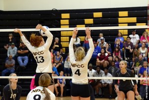 npcc volleyball