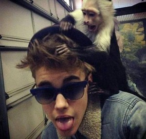 Justin-Bieber-monkey