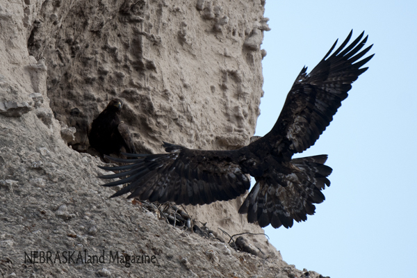 Photo courtesy of Justin Haag and NEBRASKAland Magazine