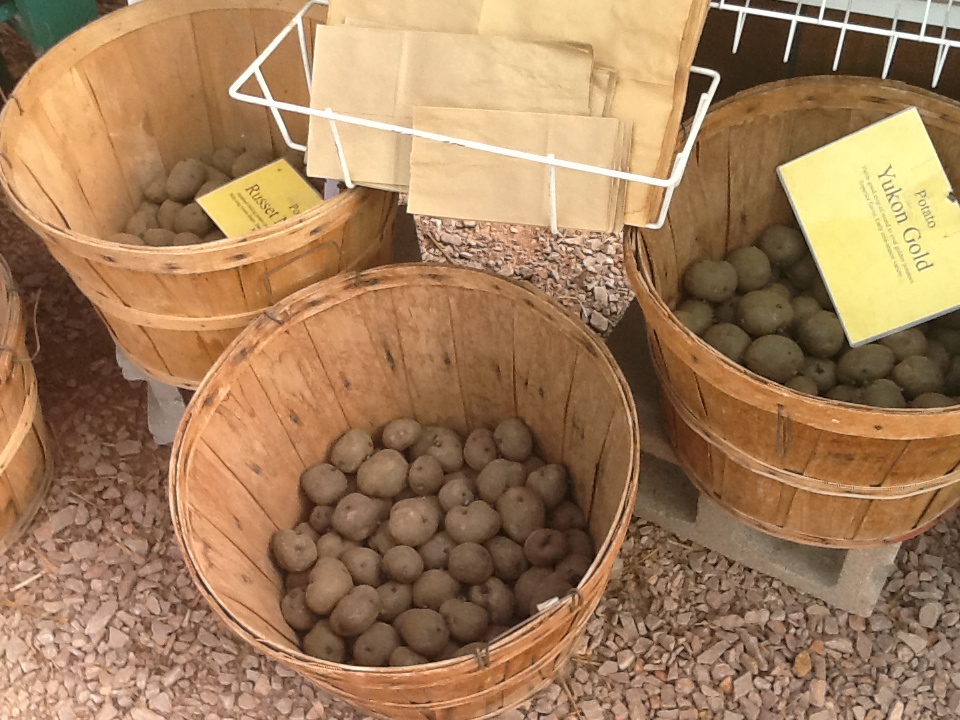 Pine Ridge Garden Center (2)