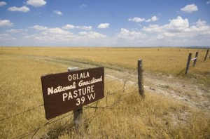 USFS Oglala Nat Grasslands sign