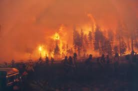 Wildfire-1