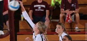 CSC VB 13 Jester hit