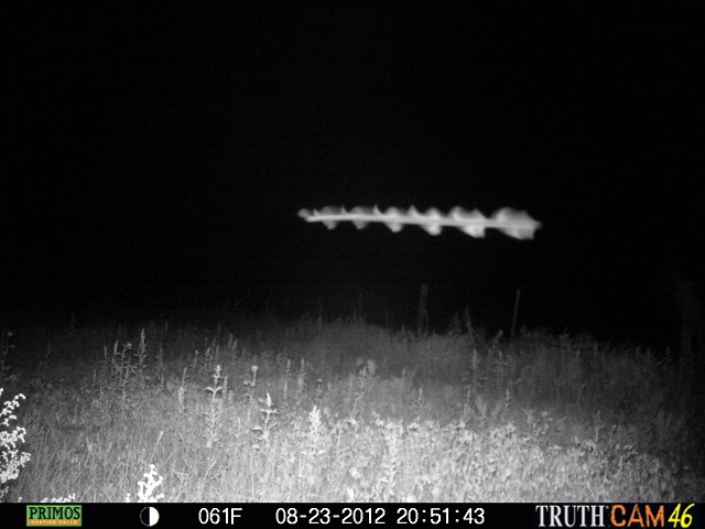 Trail Cam_Dan Swanson