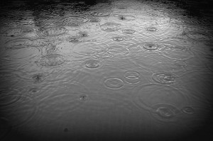 https://www.flickr.com/photos/13013135@N00/5879848337/