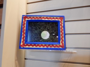 DSCN0168