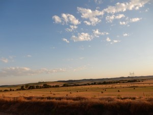 DSCN0771